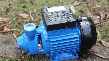 Pompa per acqua di superficie micro automatica con girante in ottone fuso in ghisa per irrigazione agricola (QB60)