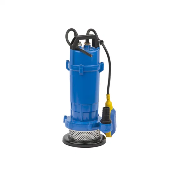 Pompa idraulica sommergibile elettrica da 1 pollice serie 0,5HP/1HP/1,5HP Qdx con interruttore a galleggiante Qdx1.5